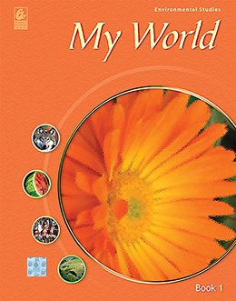 My World 1