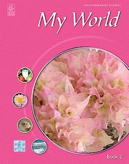 My World 2
